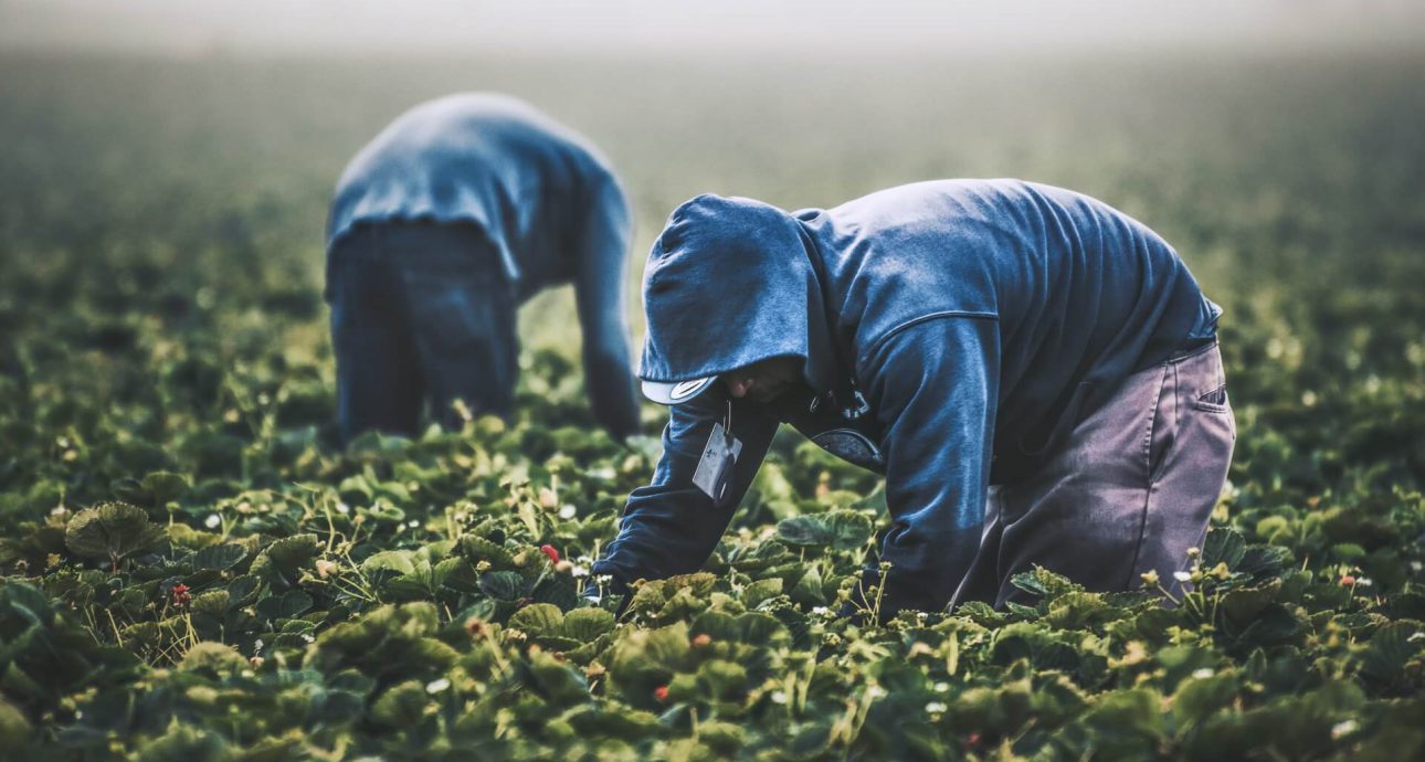 Este artículo habla sobre la reforma migratoria. La imagen es ilustrativa.