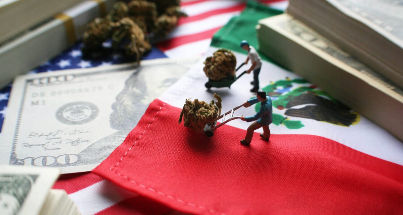 mariguana-legal-inmigrantes