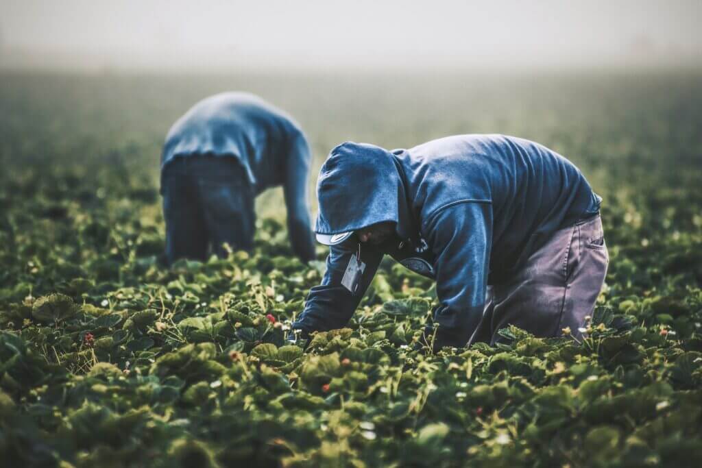 inmigración trabajo entre con visa ecuatorianos