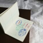 Visa U y VAWA: por qué aumentan los controles y qué deben saber los inmigrantes.