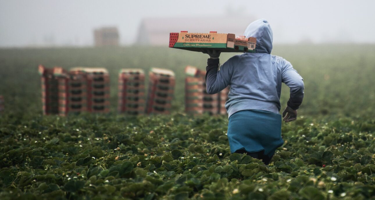Inmigración y el ajuste de estatus.