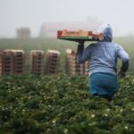 Inmigración y el ajuste de estatus.