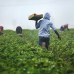 Por qué USCIS podría negar tu caso.