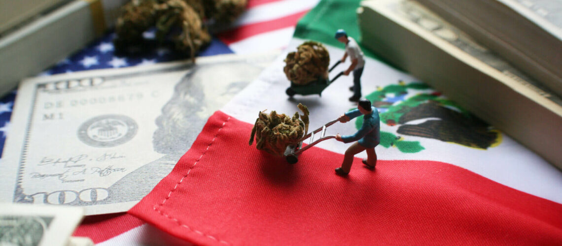 mariguana-legal-inmigrantes