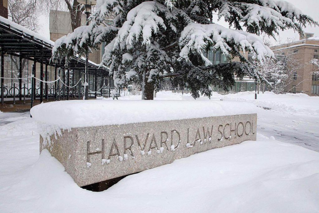 harvard-mujer-latina-migrantes-mexicanos