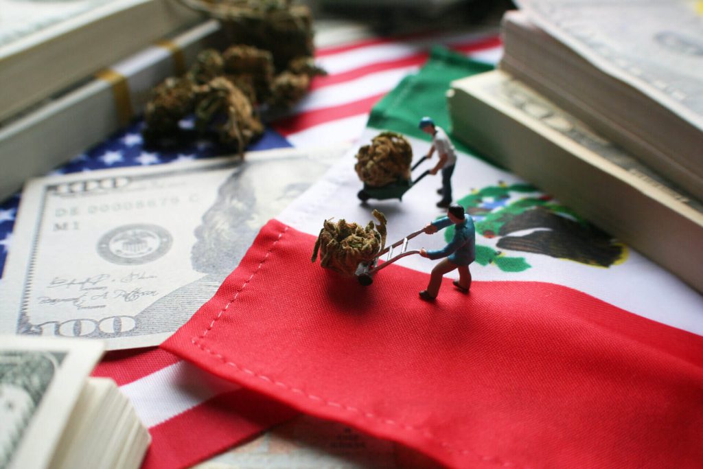 mariguana-legal-inmigrantes